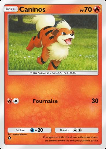 Carte Pokémon TCG Pocket Caninos