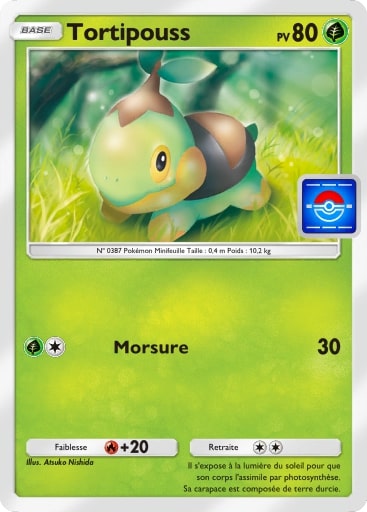 Carte Pokémon TCG Pocket Tortipouss